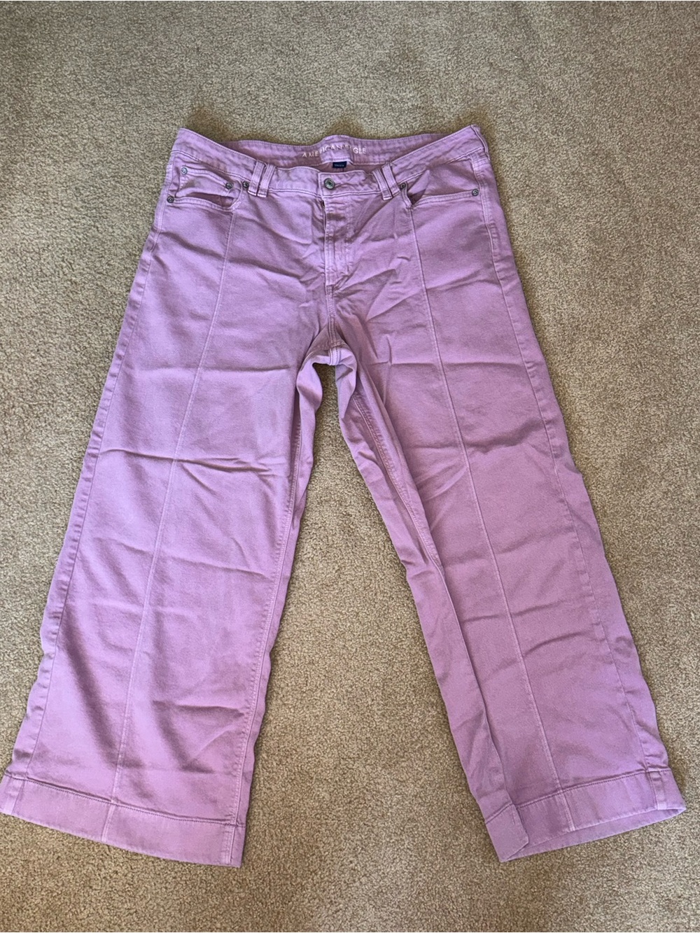 American Eagle Outfitters Lavender Wide-Leg Jeans